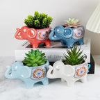 Elephant Planter Cartoon Succulent Pots with Drainage 5.31 Inch Animal Planter Cute Plant Pots Succulent Planter Container Ceramic Flower Pots Perfect for Home Decor and Gifts, Set of 4