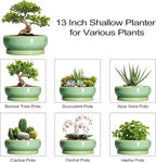 Large Bonsai Pots - 13 Inch Ceramic Succulent Pots for Indoor Outdoor, Ceramic Planter with Drainage Hole and Saucer, Shallow Round Planter, Garden Decor, Gifts for Women Men, Light Green