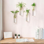 Mkono Propagation Station Wall Planter Hanging Glass Tubes Flower Vase for Hydroponics Plants, Bathroom, Home Office Living Room Decor Gift, Cylinder Set of 4