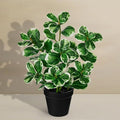 17" Artificial Rubber Plant in Black Pot, Faux Ficus Plant Potted with Cream White Edge Foliages, Fake Greenery Plant for Home Office Tropical Decor