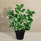 17" Artificial Rubber Plant in Black Pot, Faux Ficus Plant Potted with Cream White Edge Foliages, Fake Greenery Plant for Home Office Tropical Decor