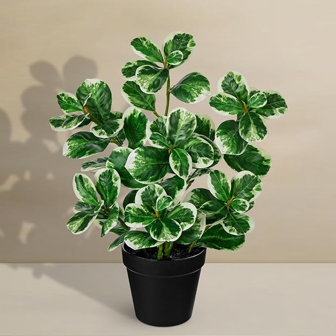 17" Artificial Rubber Plant in Black Pot, Faux Ficus Plant Potted with Cream White Edge Foliages, Fake Greenery Plant for Home Office Tropical Decor