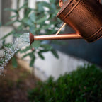 1 Gallon Watering Can, Copper Watering Can, Metal Water Can with Removable Spout, Perfect Plant Water Can for Indoor and Outdoor