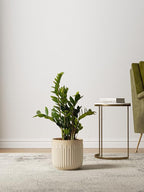 LE TAUCI Ceramic Pots for Plants, 8.3/7/6 Inch Indoor Planters with Drainage Holes & Mesh, Modern Glossy Glaze Cylinder Fluted Plant Pot for Snake Plant, Set of 3, Sand Beige