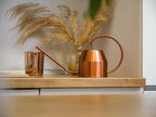 Plexon Rose Gold Metal Watering Can Indoor Plants 40 oz, Stainless Steel Long Spout Watering Can Outdoor House Plant Flower, Garden