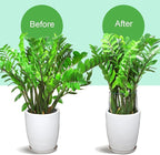 LEOBRO 12PCS Plant Supports, Peony Cages and Supports, Plant Stakes, Plant Support Stakes for Indoor Plants, Outdoor Plants, Monstera Hydrangea Support Cage, 10" W x 15.8" H