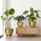 Flower Pots for Indoor & Outdoor Plants - Ceramic Pots 10 Inch, 8 Inch, 6 Inch with Drainage Holes, Saucers - Decorative Large Planters Set of 3 Gold