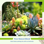 Succulent and Cactus Soil Potting Mix 4qt-Premium Breathable & Fast Draining for Healthy Plants