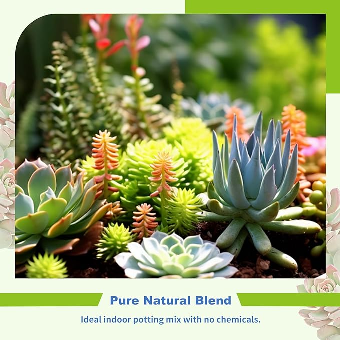 Omitgter Succulent and Cactus Soil Potting Mix 2qt-Premium Breathable & Fast Draining for Healthy Plants