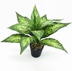 PASYOU Artificial Aglaonema Plants, Green Speckled Leaves 2 Pack, Fake Magnolia Grass Plant, Faux Plastic Leaves Shrubs, Indoor Outdoor Decor Home Garden Yard Table Planter Filler Decorations - Green
