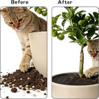 6 Pcs 11.81 Inch Plant Pot Grids-Cuttable, Plant Pot Soil Protective Covers, Thickened Flower Protectors from Animals for Indoor Outdoor Garden Plant Protection
