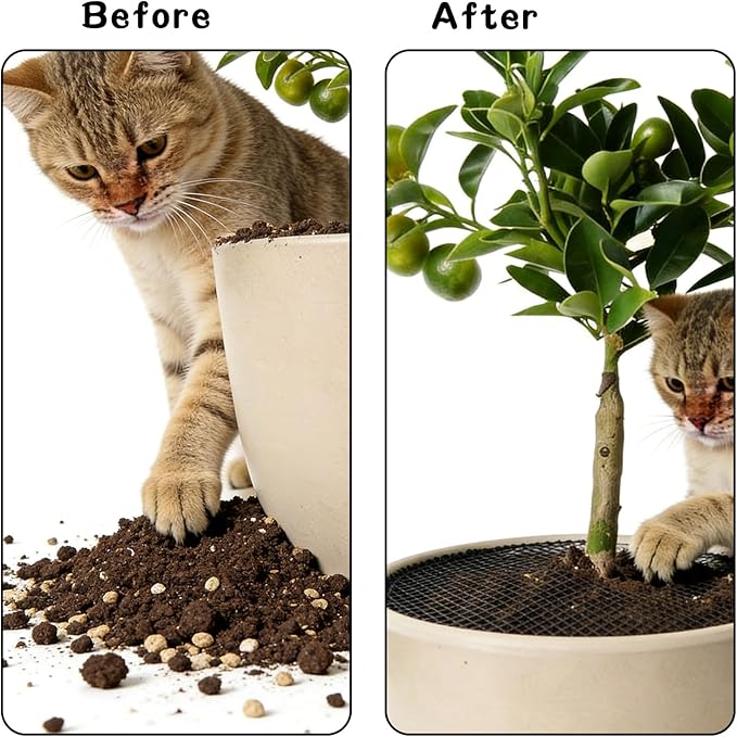 6 Pcs 11.81 Inch Plant Pot Grids-Cuttable, Plant Pot Soil Protective Covers, Thickened Flower Protectors from Animals for Indoor Outdoor Garden Plant Protection