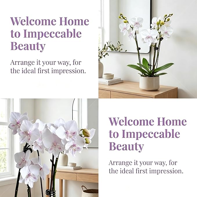 5 Pack Real Touch Artificial Orchids - Silk Flowers for Home Decor, Zero Maintenance Fake Flowers for Vase, Living Room, Office, Bedroom Decoration, Realistic Indoor Artificial Plants