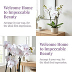5 Pack Real Touch Artificial Orchids - Silk Flowers for Home Decor, Zero Maintenance Fake Flowers for Vase, Living Room, Office, Bedroom Decoration, Realistic Indoor Artificial Plants