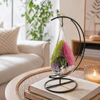 Creations by Nathalie DIY 7" DIY Teardrop Terrarium Kit - Build Your Own Glass Terrarium for Adults & Teens with Moss, Crystals, Tools & Decor - Handcrafted in the USA (Live Plant Included)
