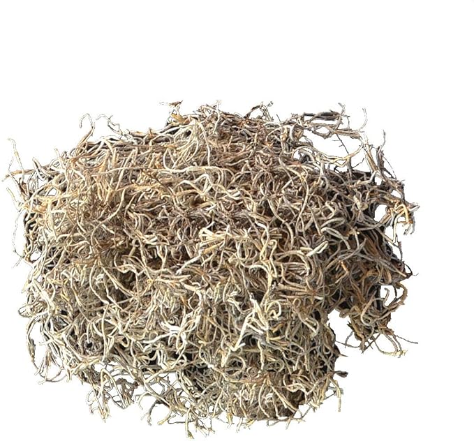 Mosser Lee Spanish Moss – Natural Decorative Moss for Houseplants, Soil Cover, Crafts, Terrariums & Floral Arrangements - 2.4 Cubic Foot
