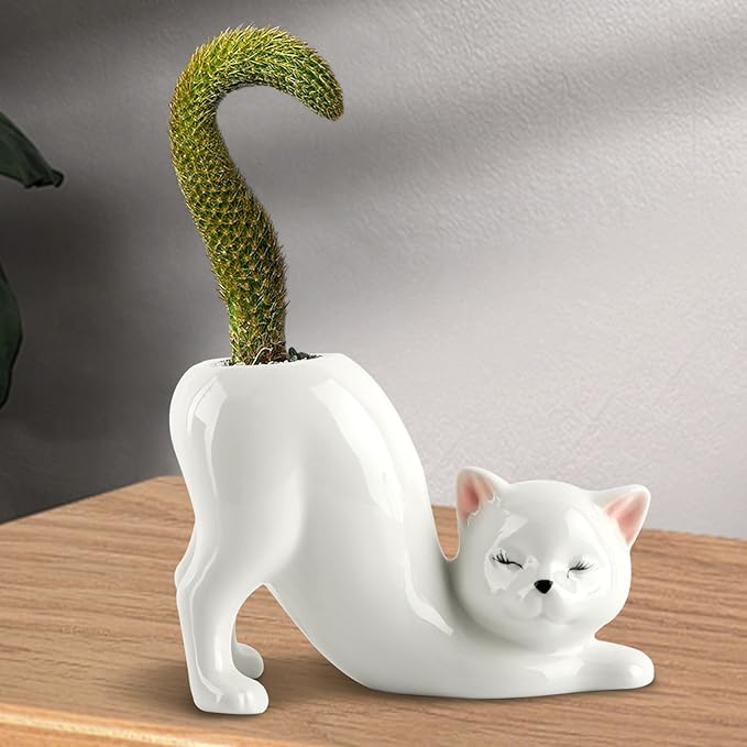 Tailless Cat Ceramic Planter – for Succulents & Cactus, Indoor Small Pot | Home/Office Desk Decor, Gift for Pet Lovers