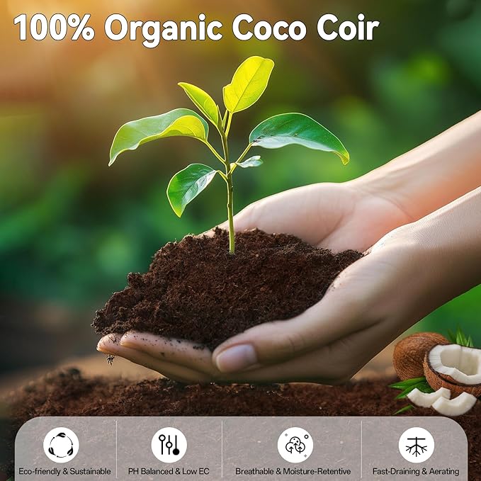 ZeeDix 50 Pack 30mm Organic Coco Coir Seed Starter Pellets, Compressed Coconut Fiber Seed Starter Soil Discs Potting Soil Mix for Indoor Outdoor Plants, Herbs Houseplants Bonsai Vegetables Flowers