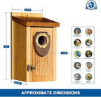 SISTERBIRD Bird Houses for Outside, Premium Wooden Bluebird Houses for Outside, Assembly Birdhouses for Outdoors, Weatherproof Bird House, Bluebird Finch Swallow Wren Chickadee