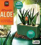 Grow Your Own Aloe Plant - Nurture Your Own Altruistic Aloe Plant Terrarium Starter Kit with Complete Supplies for Easy-to-Grow Indoor Succulents - Just Add Water