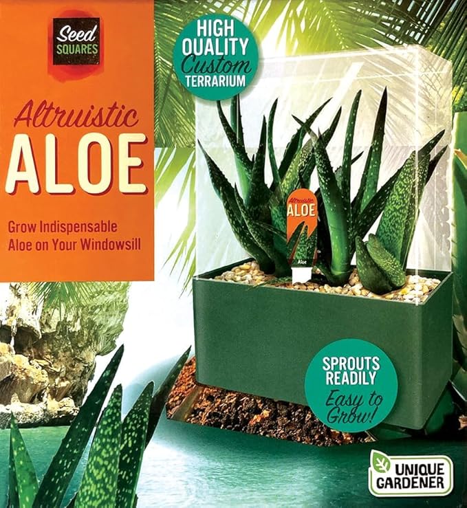 Grow Your Own Aloe Plant - Nurture Your Own Altruistic Aloe Plant Terrarium Starter Kit with Complete Supplies for Easy-to-Grow Indoor Succulents - Just Add Water