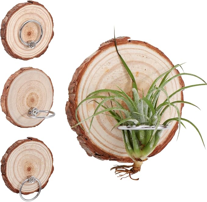 Magnetic Air Plant Holder, Natural Wood Slices Refrigerator Magnet Live Air Plant Holders, Modern Farmhouse Wall Decor for Living Room Bedroom Kitchen Office Home Garden (6 Pack)