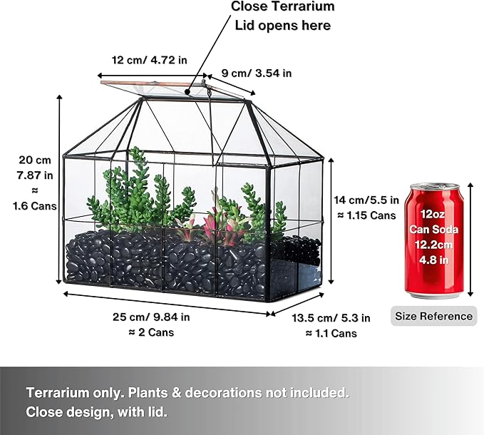 NCYP Glass Terrarium Planter with Lid for Small Succulent Plants, Grid House Shape Black Geometric Terrarium Pot, Home Garden Indoor Tabletop Decor, 9.84" x 5.31" x 7.87" (No Plants)