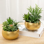 Briful Fake Succulents in Gold Metal Pot, Artificial Succulent Plants Arrangement for Home Decor, Small Faux Potted Plants Tabletop Centerpiece, Desk Office Bathroom Shelf Decorations