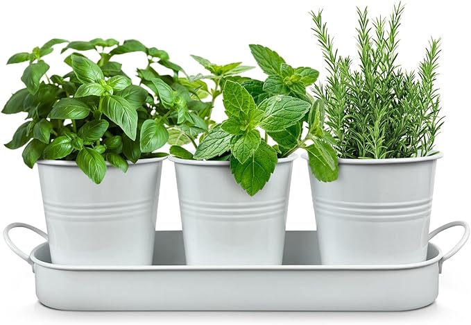 Plexon Herb Planter Indoor Garden Set of 3 with Tray, Metal Herb Pots for Indoor Plants, Round Kitchen Garden Kit Ideal for Windowsill Planter or Countertop, White Powder Coated