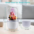 Venus Fly Trap Terrarium Pot with Timer Grow Light&Fan,Plant Terrarium kit for Moss&Cactus,Smart Planter for Carnivorous Plants&Butterwort,Mother's Day Birthday Gifts for Women Garden Lover(no Plant)