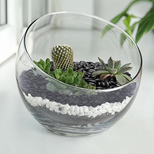 Pulovin 10 lbs Black Pebbles for Indoor Plants, Succulent, Bamboo, Vase, 3/8" Plant Rocks for Pots Indoor, Small River Rocks Decorative Pea Gravel, Highly Polished