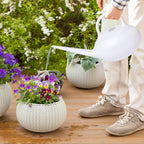 Plant Watering Can - for Indoor Plant Garden - 1/4 Gallon - White