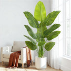 Lifelike Bird of Paradise Artificial Plant,5ft Faux Banana Leaf Tree with 12 Trunks - Perfect Indoor Silk Floor Plant for Home Decor in Living Room, Office, and Bedroom 1Pack