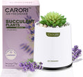 Artificial Succulent Plants with Subtle Lavender Scent, Faux Indoor Plants for Home Decor, Small Fake Plant for Bathroom, Bedroom, Office Decor, Aesthetic Room Accessories, Housewarming Gift