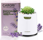 Artificial Succulent Plants with Subtle Lavender Scent, Faux Indoor Plants for Home Decor, Small Fake Plant for Bathroom, Bedroom, Office Decor, Aesthetic Room Accessories, Housewarming Gift