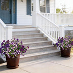 17 Inch Artificial Faux Pansy Flowers for Outdoor,Fake Pansies Flowers with Eucalyptus Leaves Fake Plants Greenery Boxwood Porch Patio Decor 6 Bundles(Dark Purple,Lotus Purple,Purple White)