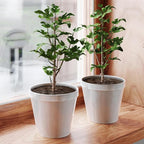 Plant Pot Cover - Cuttable Mesh Barrier Guards,Plant Protector from Cats Indoor - for Garden Outdoor Indoor Dogs Potted Bonsai