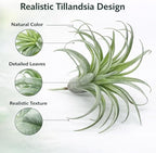 2 Pack Artificial Air Plants, Realistic Looking Faux Tillandsia Succulents for Home Decor, Indoor Outdoor Garden, Terrarium, Office Desk, Wedding Displays (Flocking)