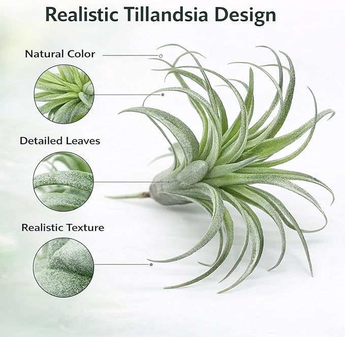 2 Pack Artificial Air Plants, Realistic Looking Faux Tillandsia Succulents Plants for Home Decor, Indoor Outdoor Garden, Terrarium, Office Desk, Wedding Displays (Green)