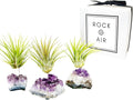 Set of 3 Mini Amethyst Crystal Air Plant Holders – Includes Healthy Tillandsia, Ready-to-Gift Home Décor for Women, Birthdays and Housewarming