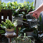 Goowin Indoor Plants Watering Can, Long Spout 47 oz with Bonus 16 oz Spray Bottle & 8.5 oz Squeeze Bottle, Grey