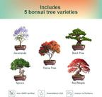 5 Pack Bonsai Tree Kit with Complete Tools, 5X Unique Seeds Bonzai Tree Kits, Indoor Bonsai Starter Kit with Wooden Box, Perfect Christmas Garden Gift for Mom, Men, Women, Plant Lover