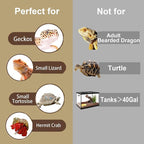 5-in-1 Leopard Gecko Tank Starter Kit, Hide Cave, Seagrass Hammock, Climbing Vine, Tweezers & Dish - 10-20 Gal | Fits Leopard/Crested Geckos, Harmit Crabs, Juvenile Tortoises (Tank Not Included)