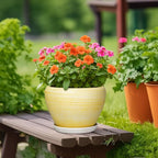 Ceramic Planter 10 Inch - Ceramic Pots for Plants Indoor Outdoor, Modern Plant Pots with Drainage Hole and Saucer, Round Decorative Planter, Bedroom Decor, Gardening Gifts, Textured Yellow