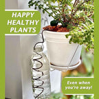 Blumat Classic Self-Watering Stakes - Prevents Overwatering and Underwatering for Healthy Growth While You are Away - Ideal for Indoor Plant Watering, 12 Pack, wo Adapter