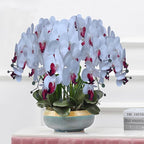 FagusHome 32 Inch Artificial Phalaenopsis Flowers 6 Pcs Artificial Orchid Flowers Stem Plants for Home Décor (Pure White)