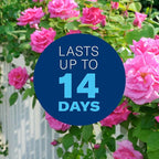 BioAdvanced 3 in 1 Insecticide & Fungicide for Plants, Disease & Plant Mite Control, Concentrate, 32 FOZ