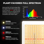 MARS HYDRO 2x4 Grow Tent Kit Complete System with 300W TSL2000 4x2 Full Coverage Dimmable Light,48"x24"x71" 1680D High Reflective Mylar,4inch 26.8dB,205CFM Smart Ventilation Kit,10 Speed Clip Fan