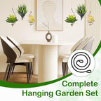 12 Set Hanging Air Plant Holder, Adjustable Air Plant Hanger with Jute Ropes Soilless Succulent Display Container Airplant Stand for Home Office Decor