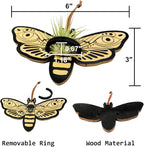 Laisgee Death Head Moth Airplant Holders, Gothic Wall Hanging, Skull Moth Indoor Planter Halloween Witchy Wood Air Fern Holders for Plant Lover Bug Collector, 2 PCS